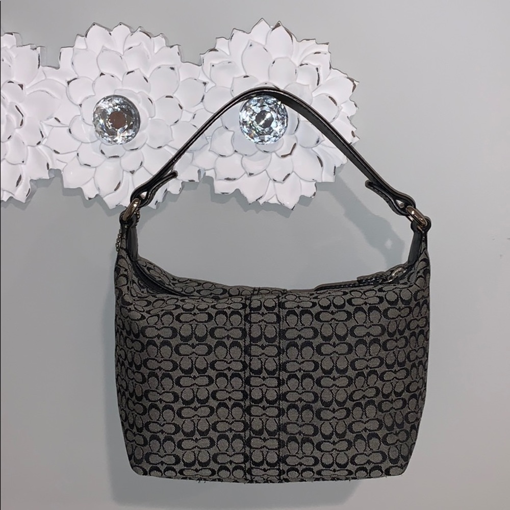 Coach mini bag